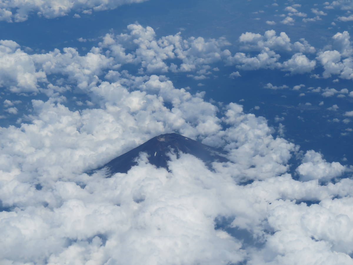 f:id:airplanelove:20200805200802j:plain f:id:airplanelove:20200805200802j:plain
