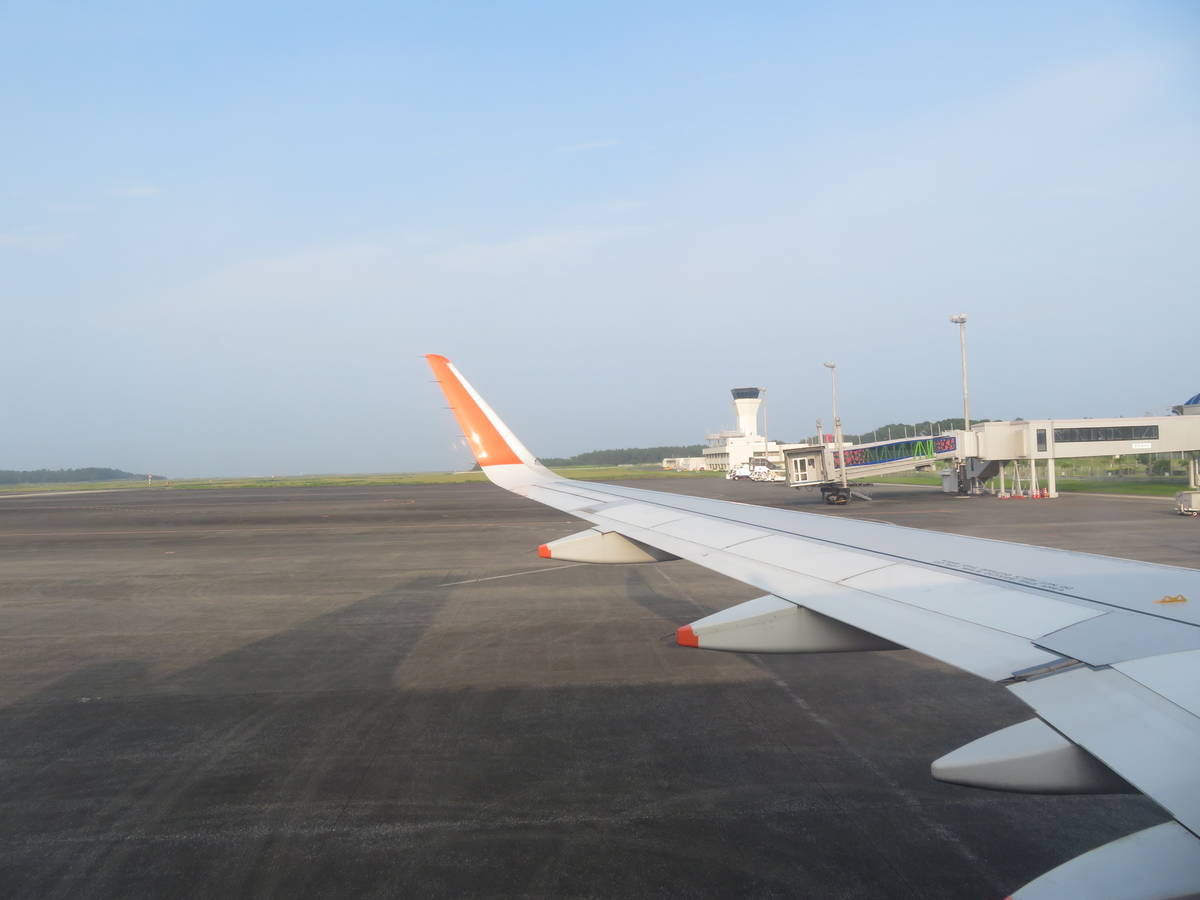 f:id:airplanelove:20200810121421j:plain f:id:airplanelove:20200810121421j:plain