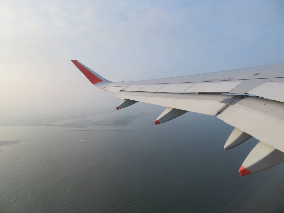 f:id:airplanelove:20200810202236j:plain f:id:airplanelove:20200810202236j:plain
