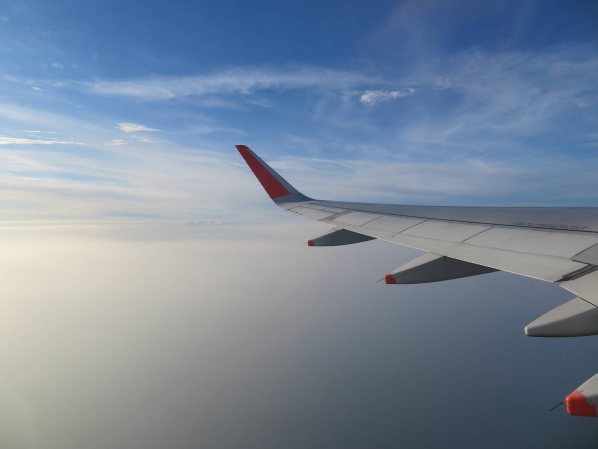 f:id:airplanelove:20200810204228j:plain f:id:airplanelove:20200810204228j:plain