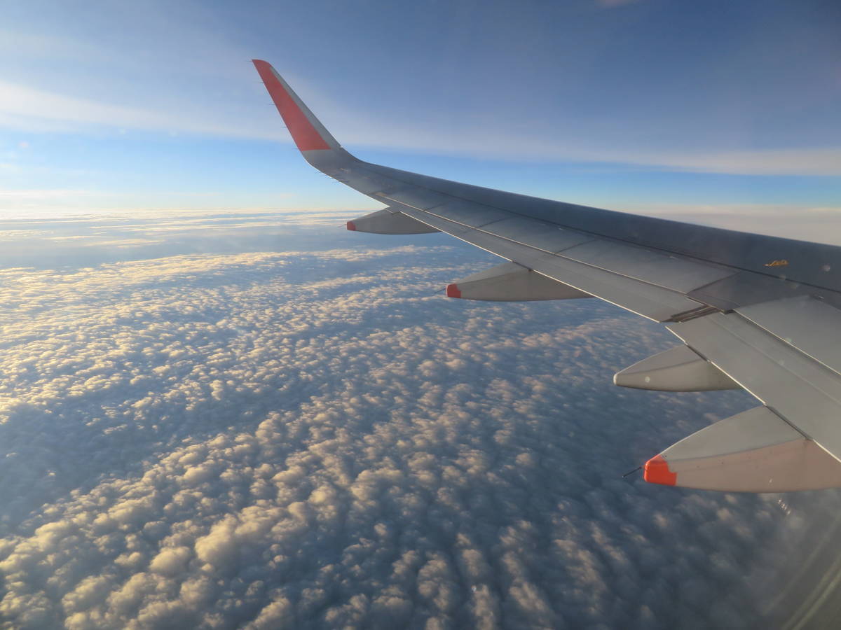 f:id:airplanelove:20200810205215j:plain f:id:airplanelove:20200810205215j:plain