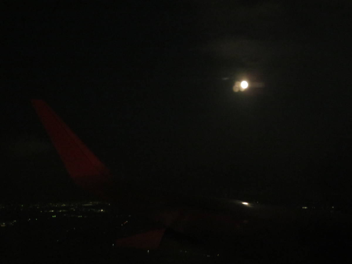 f:id:airplanelove:20200810214926j:plain f:id:airplanelove:20200810214926j:plain