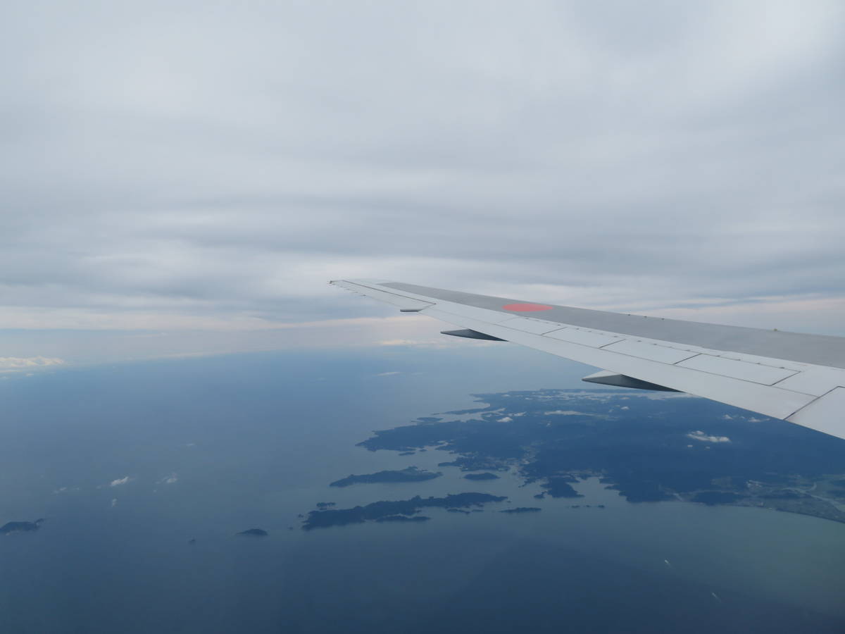 f:id:airplanelove:20201002210730j:plain f:id:airplanelove:20201002210730j:plain