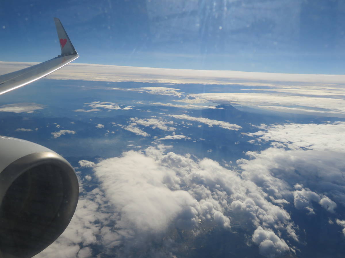 f:id:airplanelove:20201109205054j:plain f:id:airplanelove:20201109205054j:plain