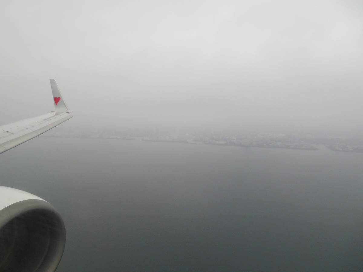 f:id:airplanelove:20201109205630j:plain f:id:airplanelove:20201109205630j:plain