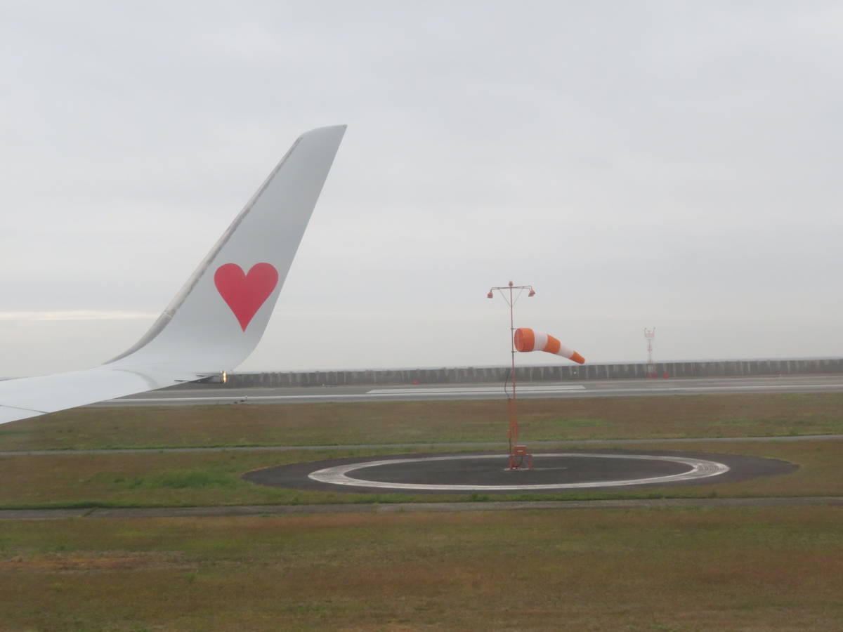 f:id:airplanelove:20201110195943j:plain f:id:airplanelove:20201110195943j:plain