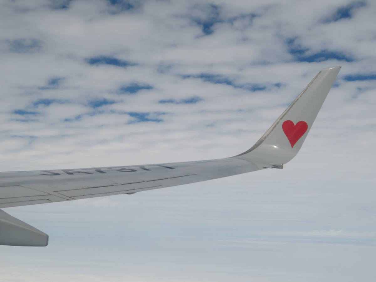 f:id:airplanelove:20201110203046j:plain f:id:airplanelove:20201110203046j:plain