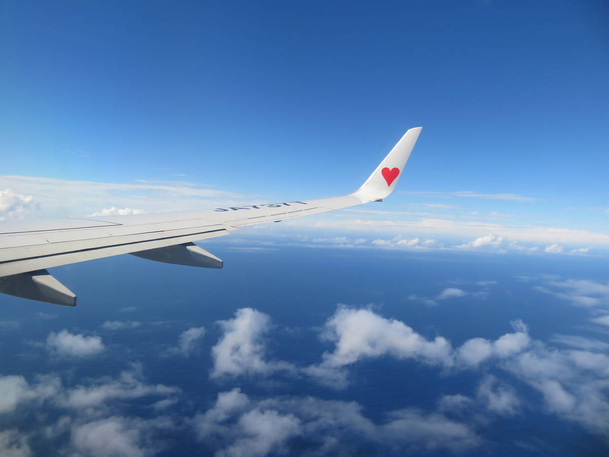 f:id:airplanelove:20201110211949j:plain f:id:airplanelove:20201110211949j:plain