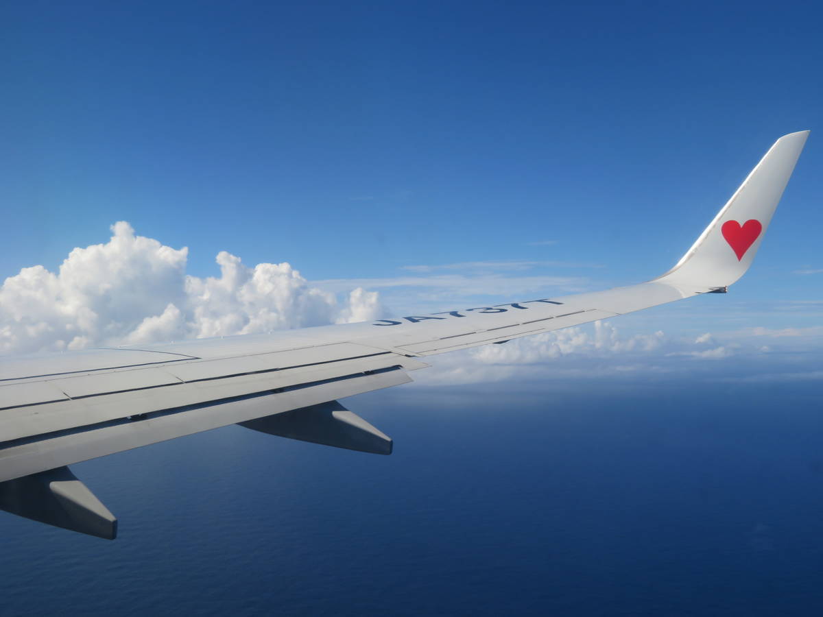 f:id:airplanelove:20201110213542j:plain f:id:airplanelove:20201110213542j:plain