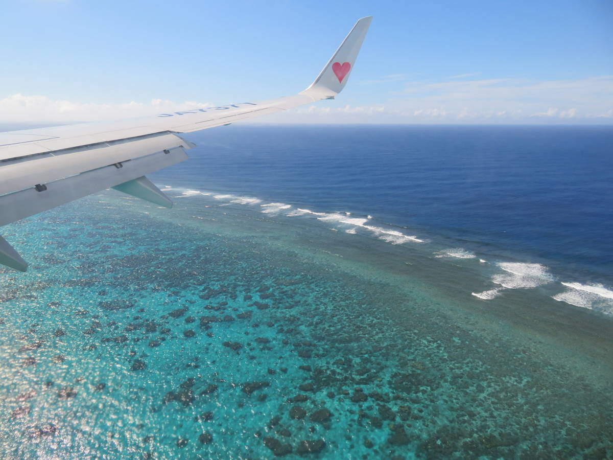 f:id:airplanelove:20201110215656j:plain f:id:airplanelove:20201110215656j:plain