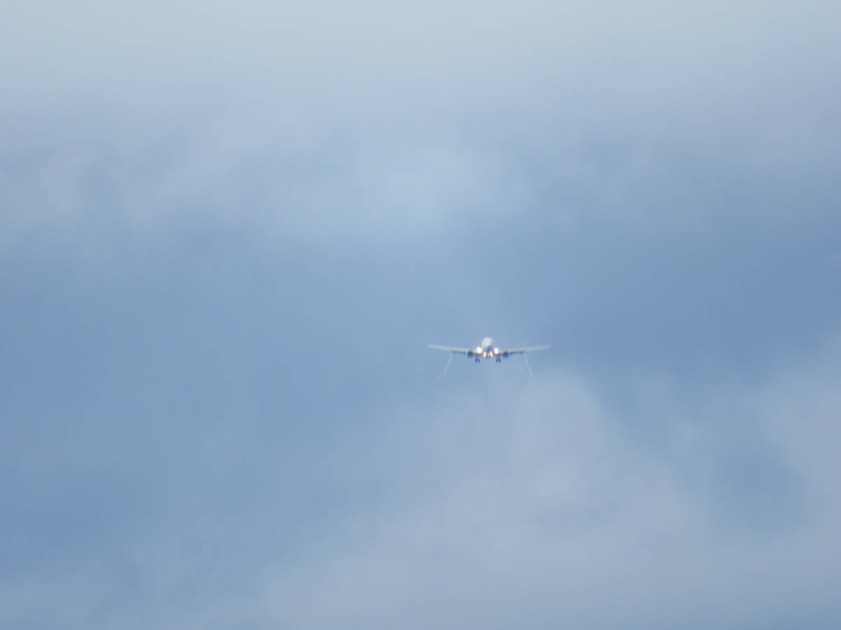 f:id:airplanelove:20201111204443j:plain f:id:airplanelove:20201111204443j:plain