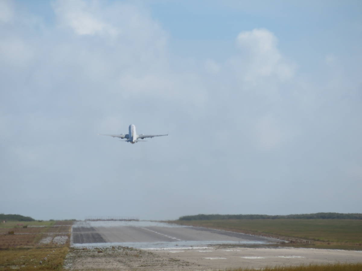 f:id:airplanelove:20201111211252j:plain f:id:airplanelove:20201111211252j:plain