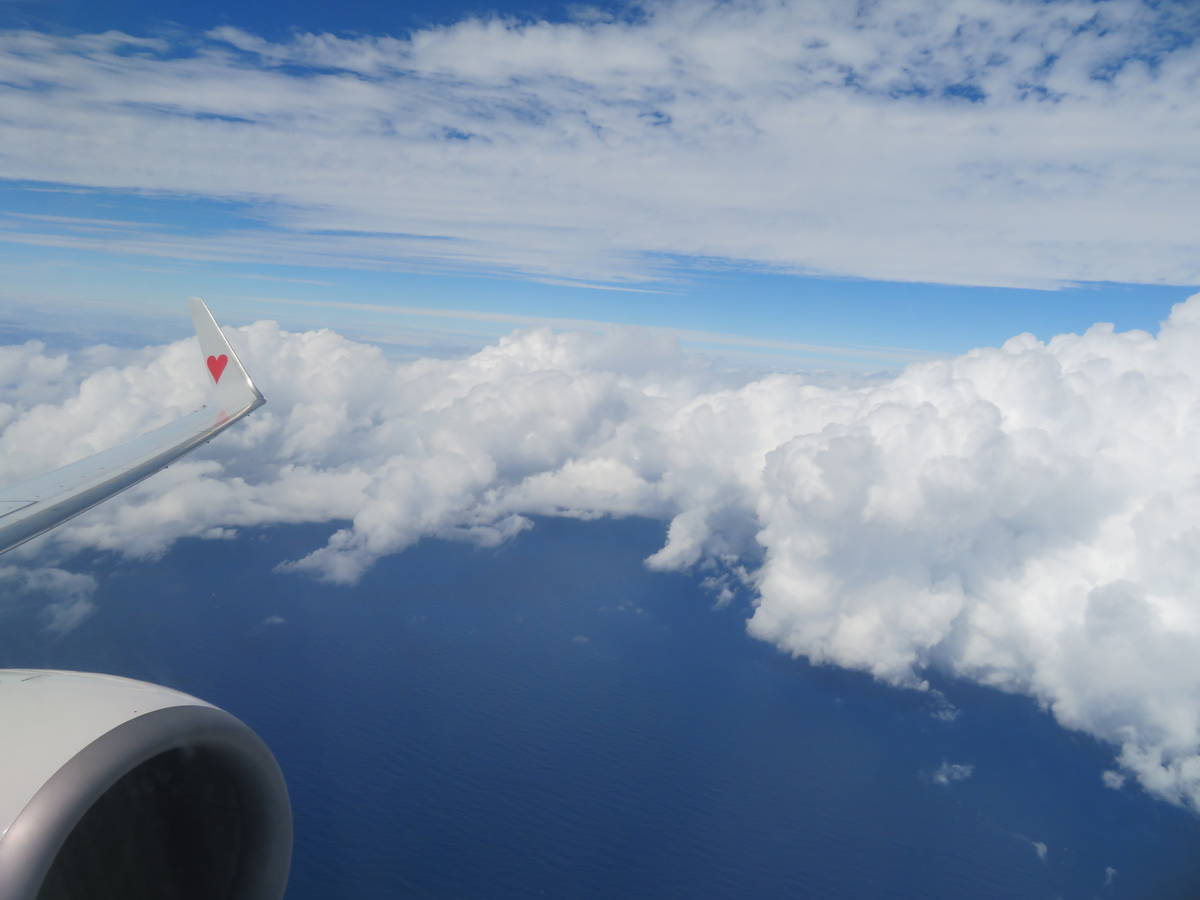 f:id:airplanelove:20201113213058j:plain f:id:airplanelove:20201113213058j:plain