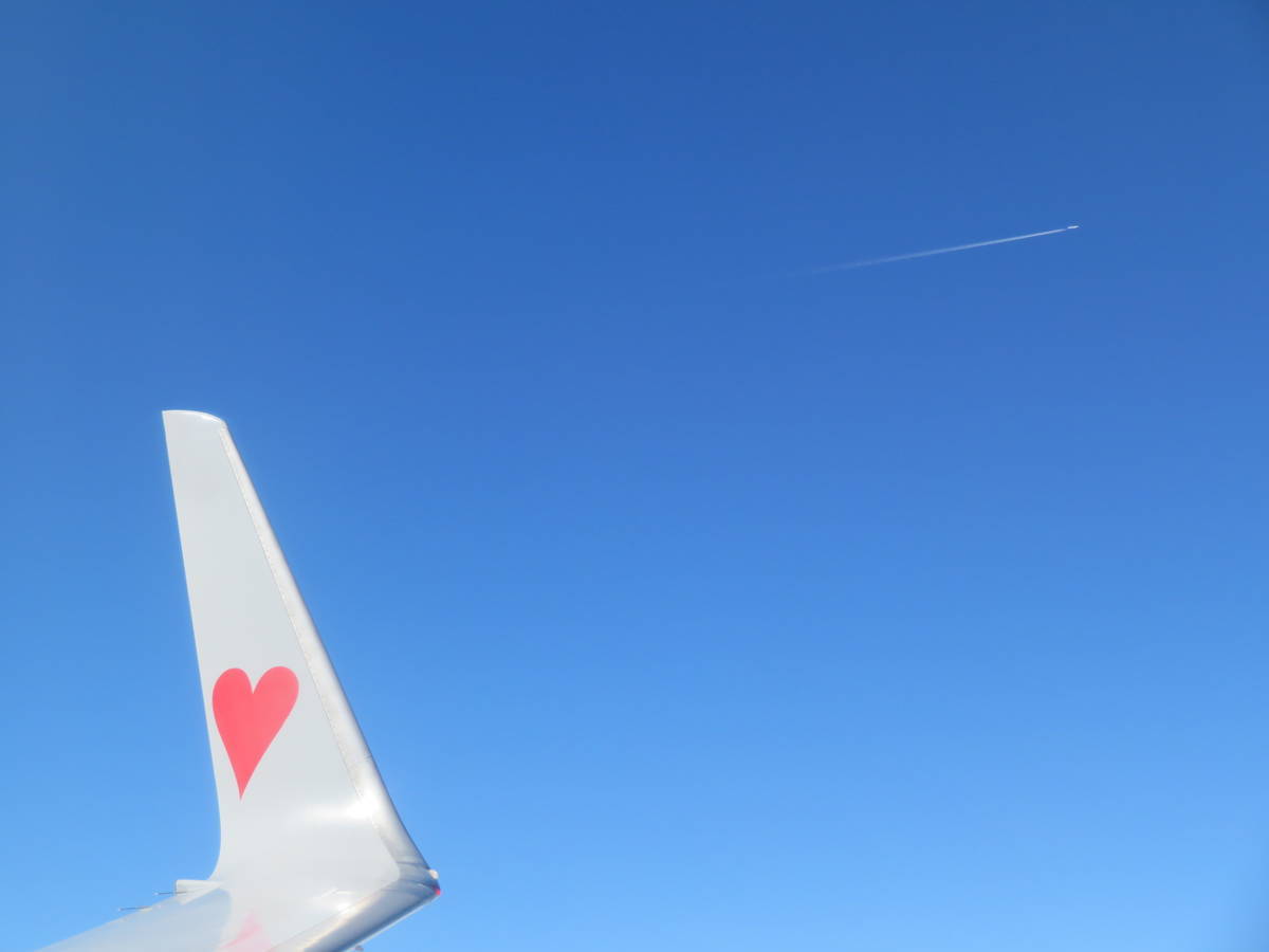 f:id:airplanelove:20201113215704j:plain f:id:airplanelove:20201113215704j:plain