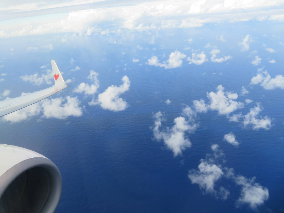 f:id:airplanelove:20201113221039j:plain f:id:airplanelove:20201113221039j:plain
