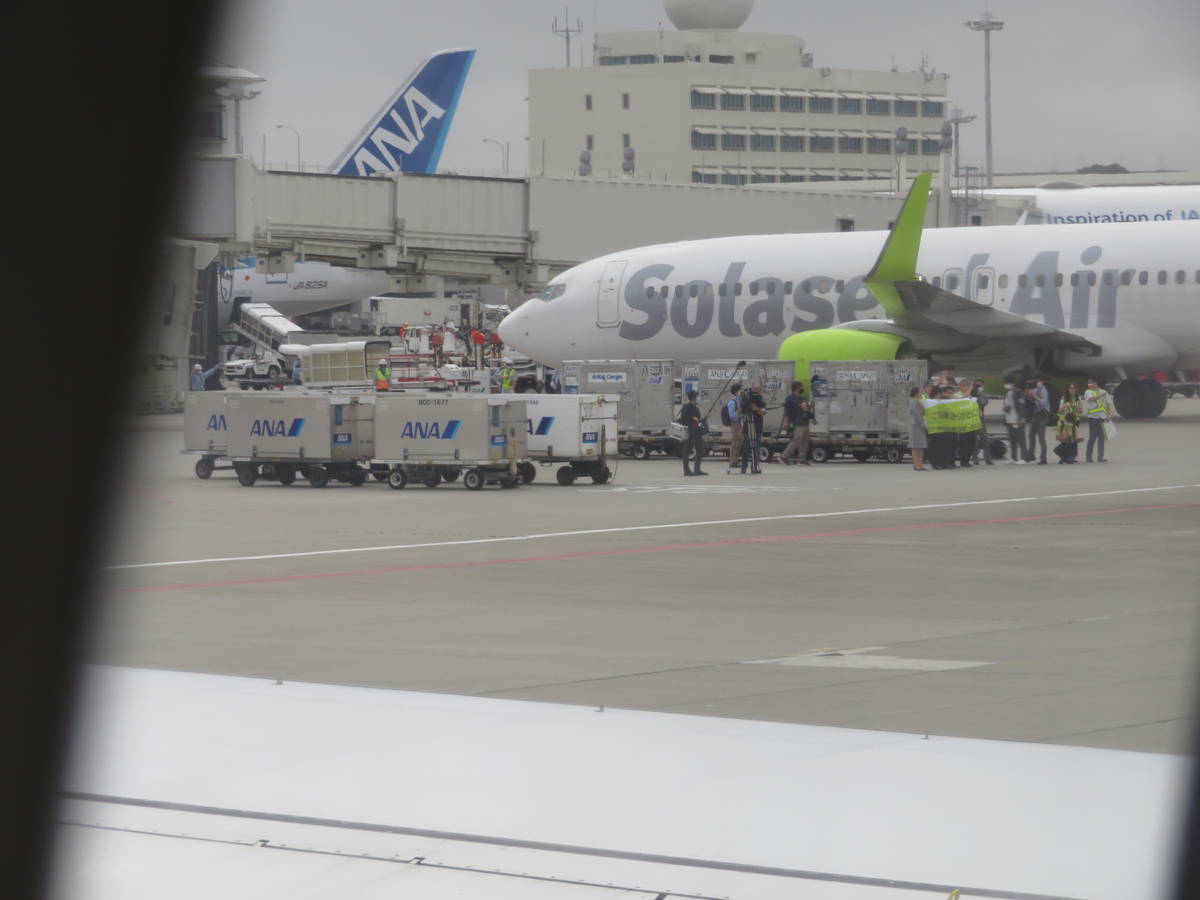 f:id:airplanelove:20210330131407j:plain