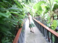 20070504124352