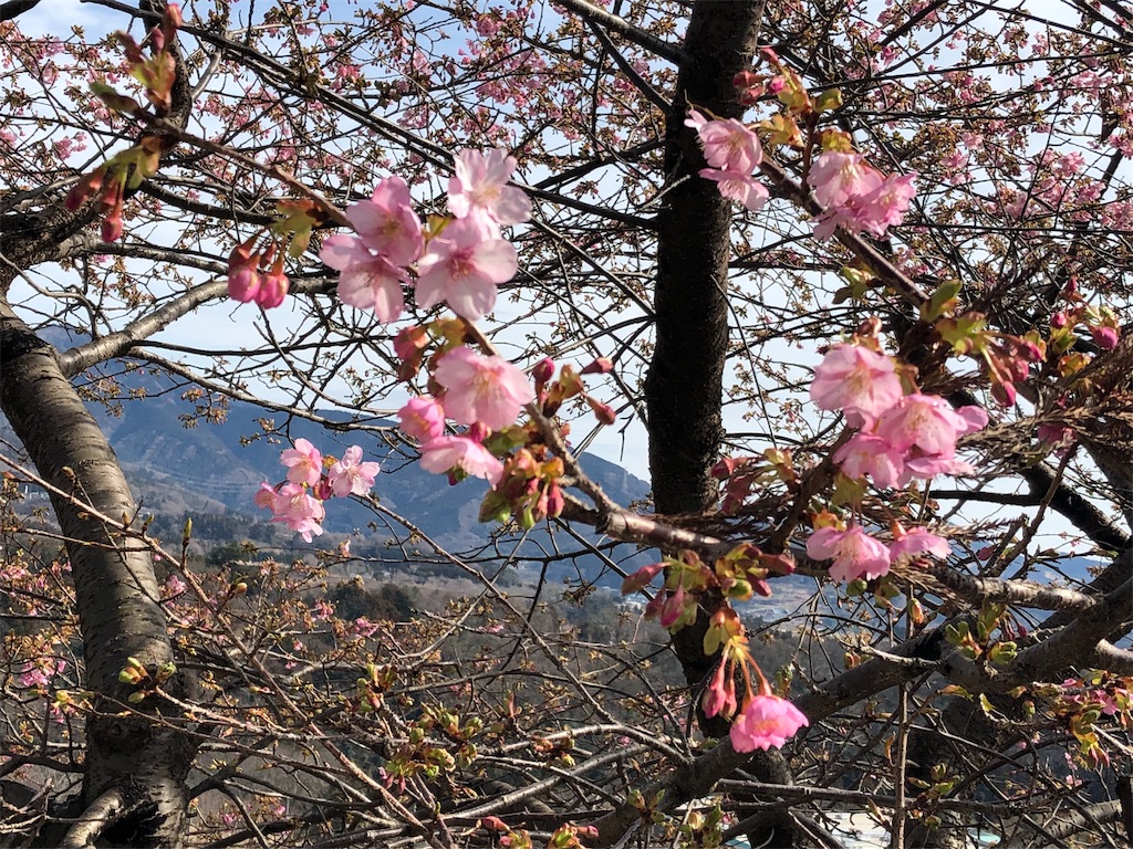 f:id:airura:20190211194002j:image f:id:airura:20190211194002j:image