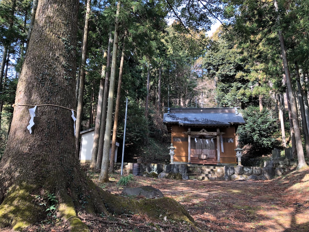 f:id:airura:20190211194351j:image f:id:airura:20190211194351j:image