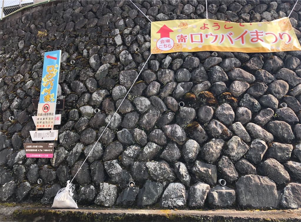 f:id:airura:20190211195237j:image f:id:airura:20190211195237j:image