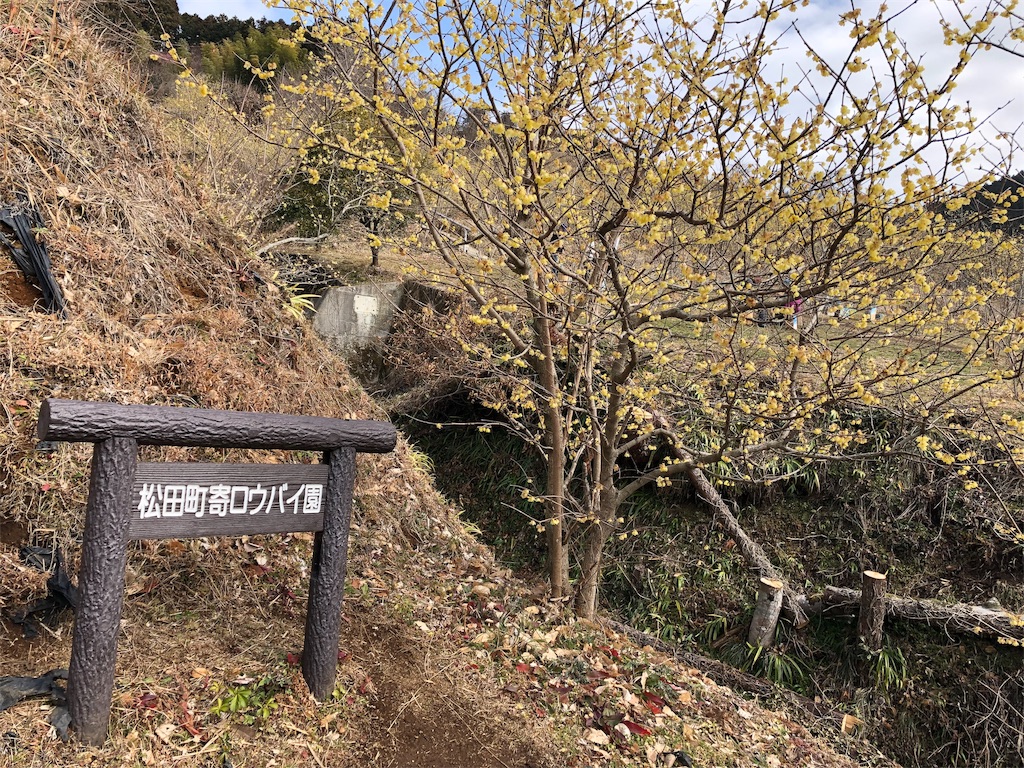 f:id:airura:20190211211332j:image f:id:airura:20190211211332j:image