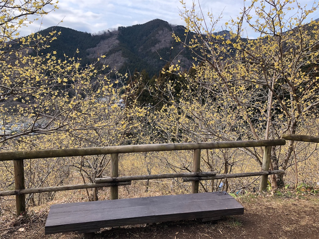 f:id:airura:20190211211359j:image f:id:airura:20190211211359j:image