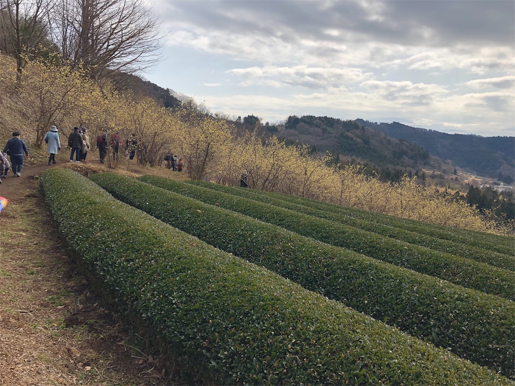 f:id:airura:20190211211509j:image f:id:airura:20190211211509j:image