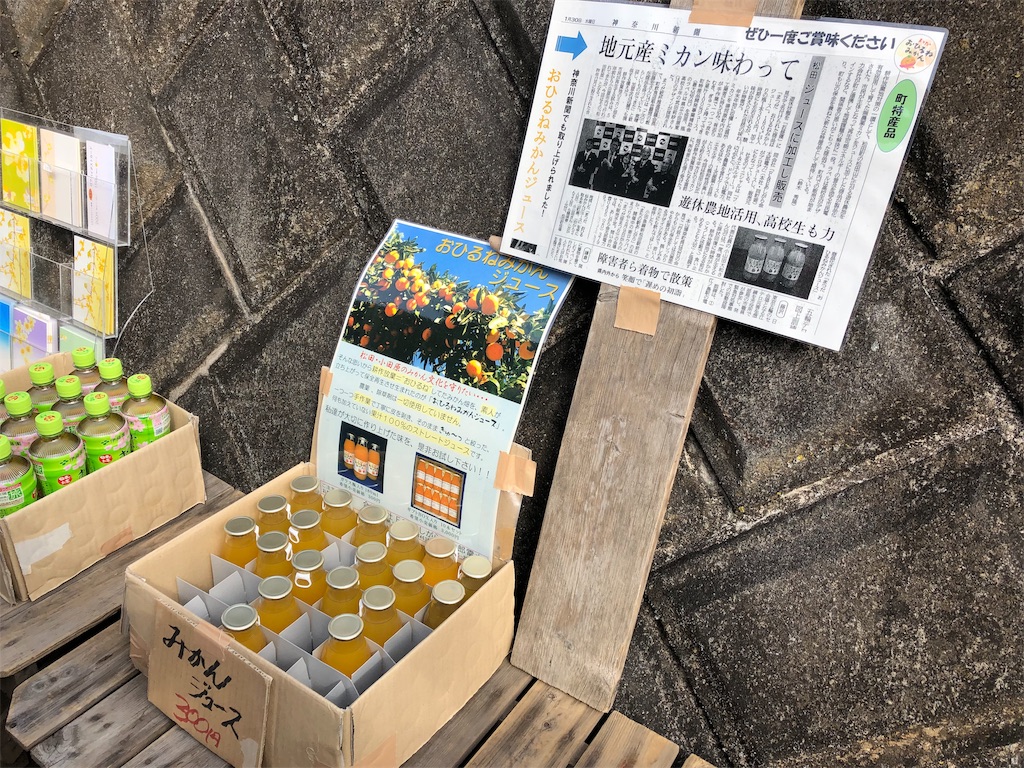 f:id:airura:20190211212432j:image f:id:airura:20190211212432j:image