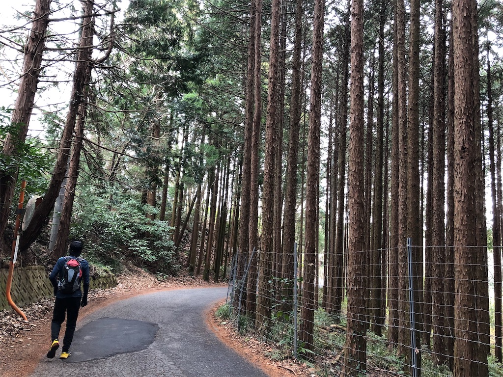 f:id:airura:20190211213257j:image f:id:airura:20190211213257j:image