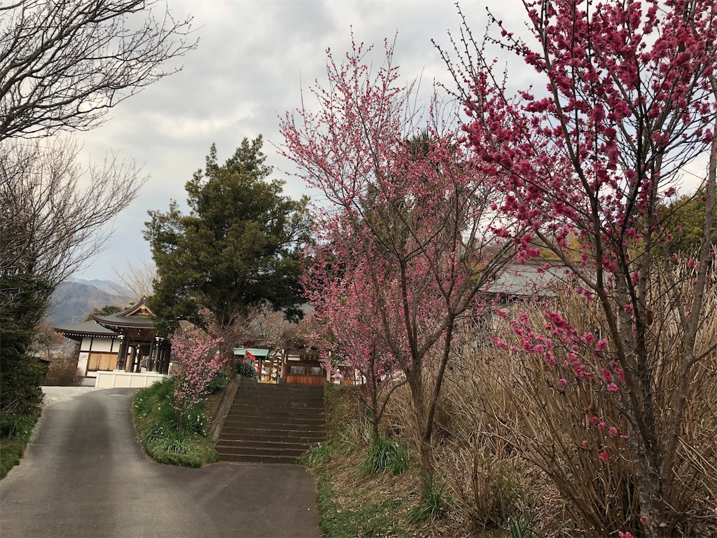 f:id:airura:20190216162618j:image f:id:airura:20190216162618j:image