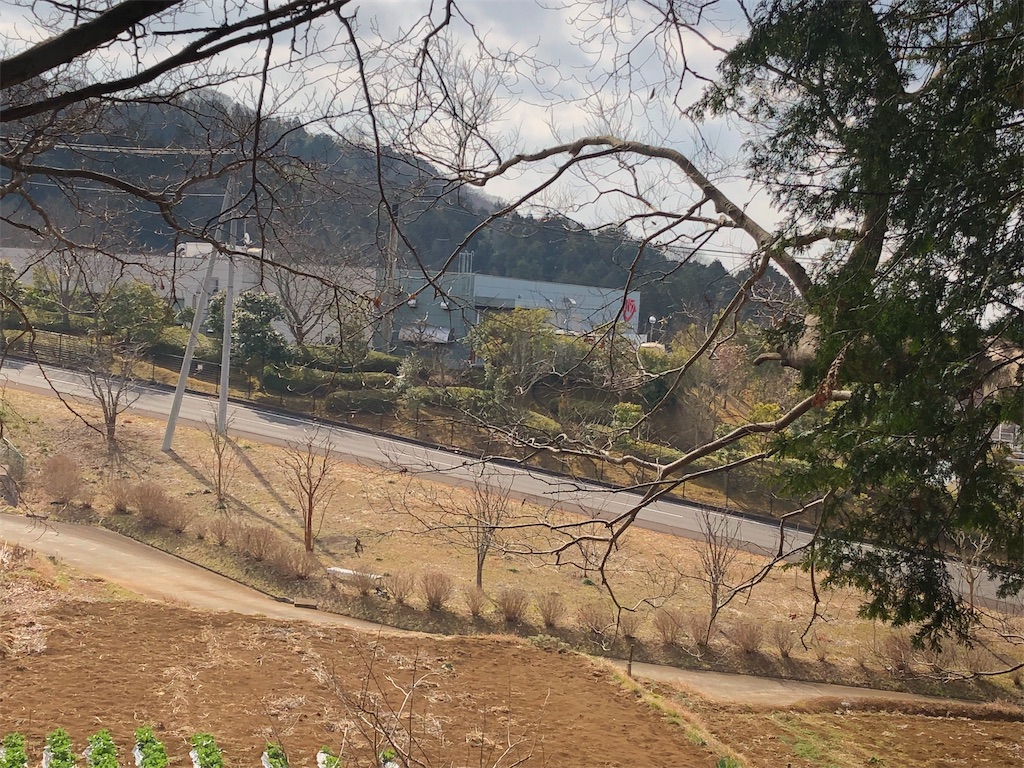 f:id:airura:20190218150238j:image f:id:airura:20190218150238j:image