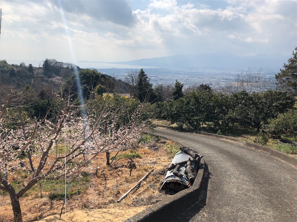 f:id:airura:20190218152521j:image f:id:airura:20190218152521j:image