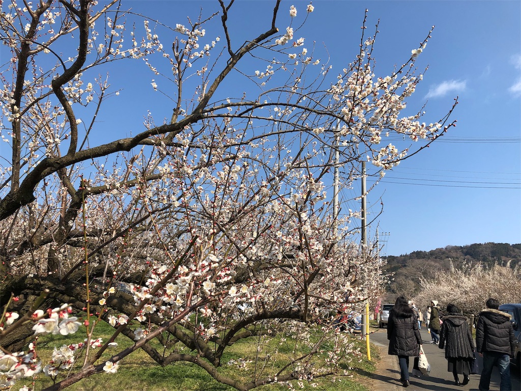 f:id:airura:20190218153132j:image f:id:airura:20190218153132j:image