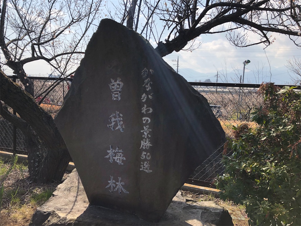 f:id:airura:20190218153817j:image f:id:airura:20190218153817j:image