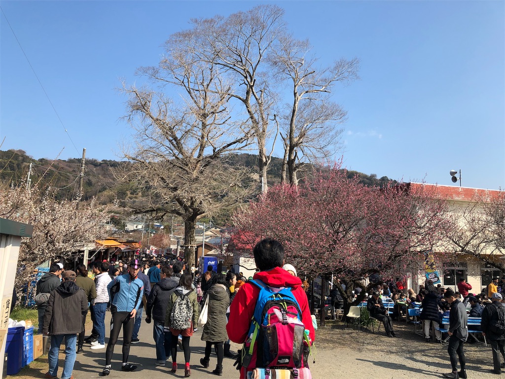 f:id:airura:20190218153958j:image f:id:airura:20190218153958j:image