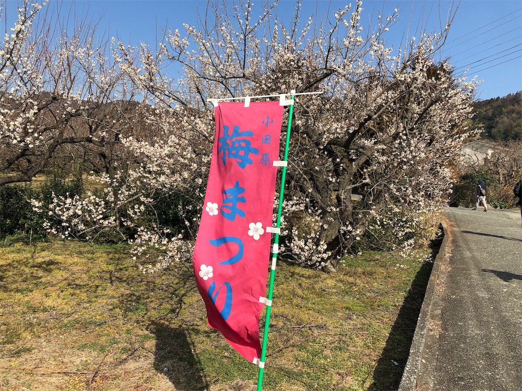 f:id:airura:20190218154412j:image f:id:airura:20190218154412j:image