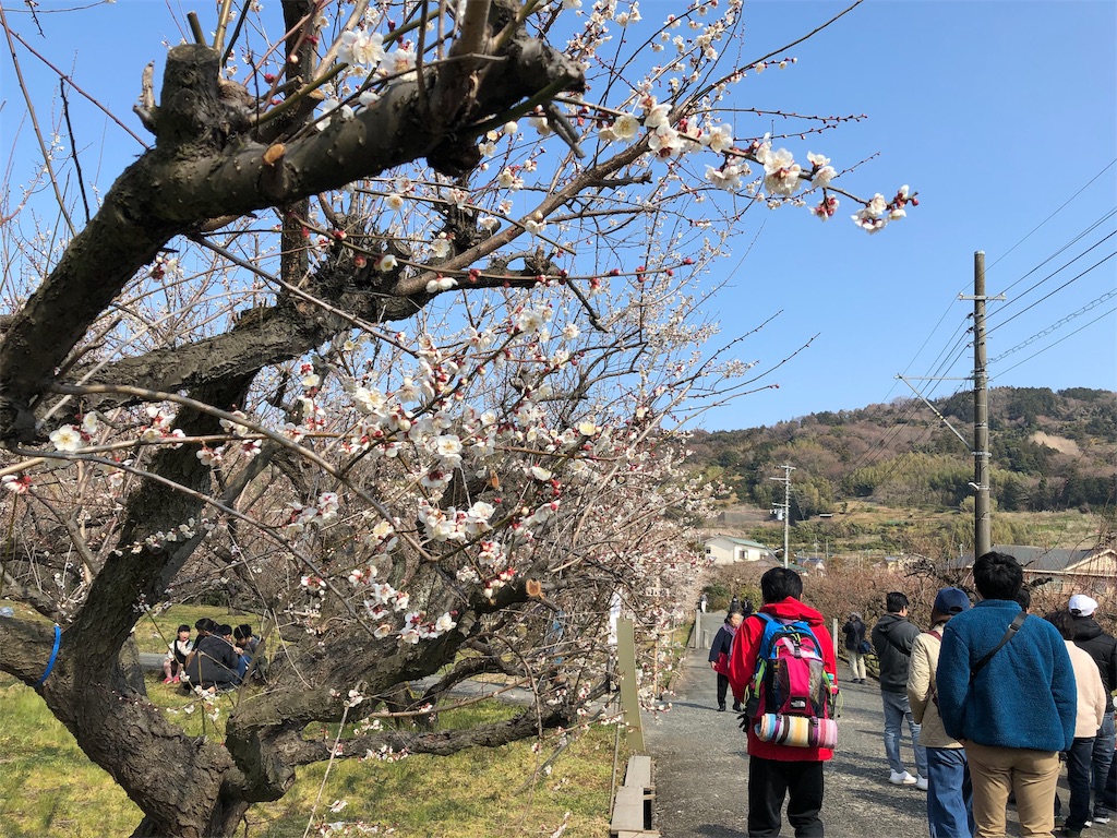 f:id:airura:20190218154416j:image f:id:airura:20190218154416j:image