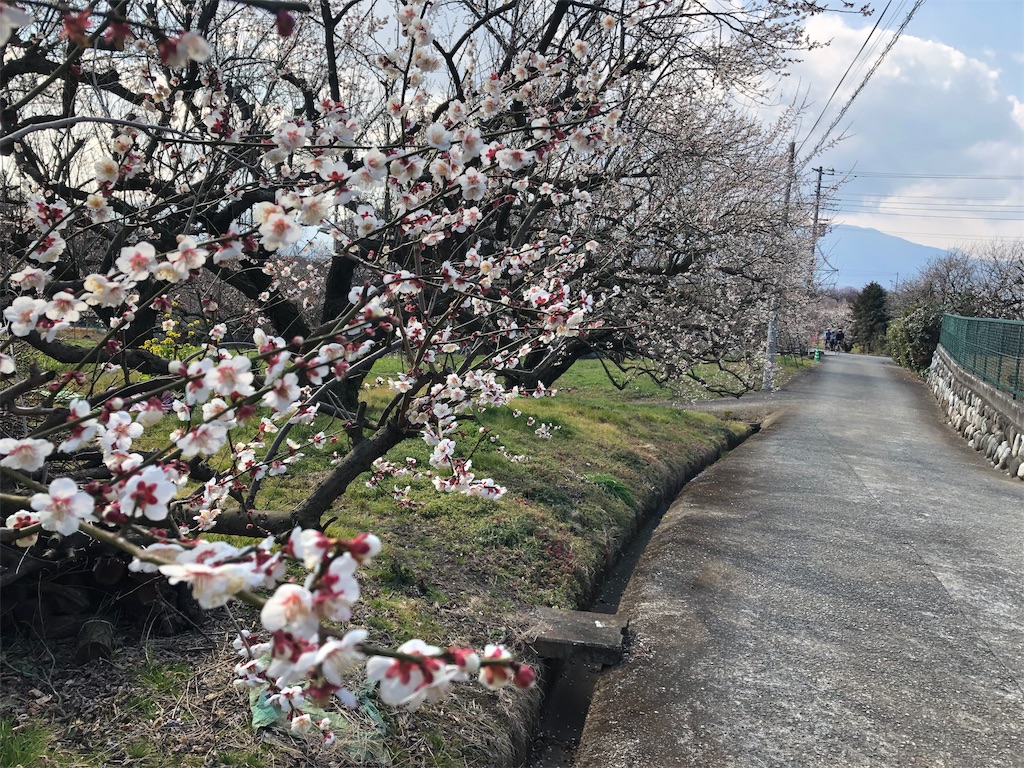 f:id:airura:20190218154708j:image f:id:airura:20190218154708j:image