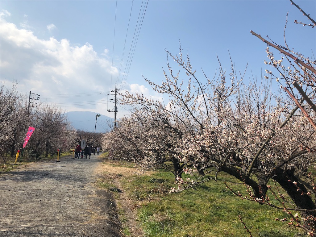 f:id:airura:20190218154713j:image f:id:airura:20190218154713j:image