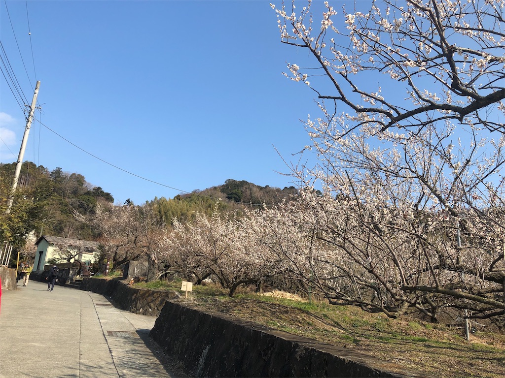 f:id:airura:20190218154937j:image f:id:airura:20190218154937j:image