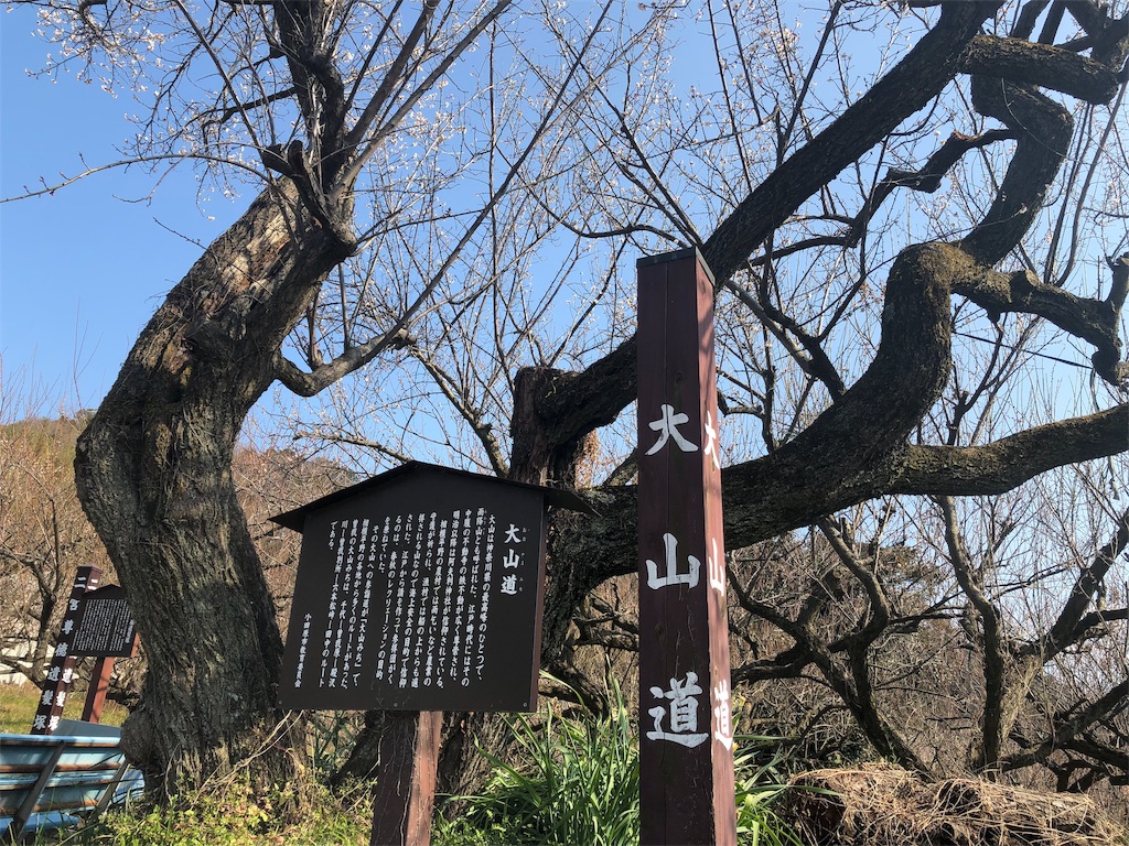 f:id:airura:20190218160546j:image f:id:airura:20190218160546j:image