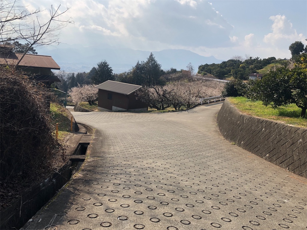 f:id:airura:20190218160636j:image f:id:airura:20190218160636j:image