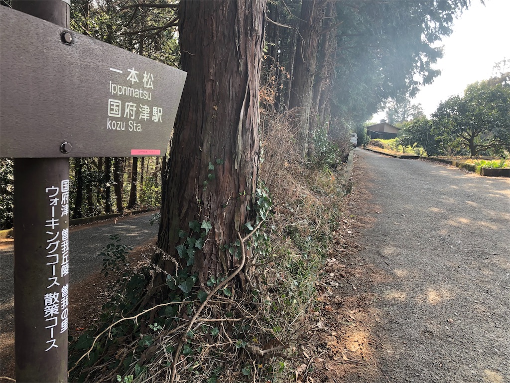 f:id:airura:20190218161855j:image f:id:airura:20190218161855j:image
