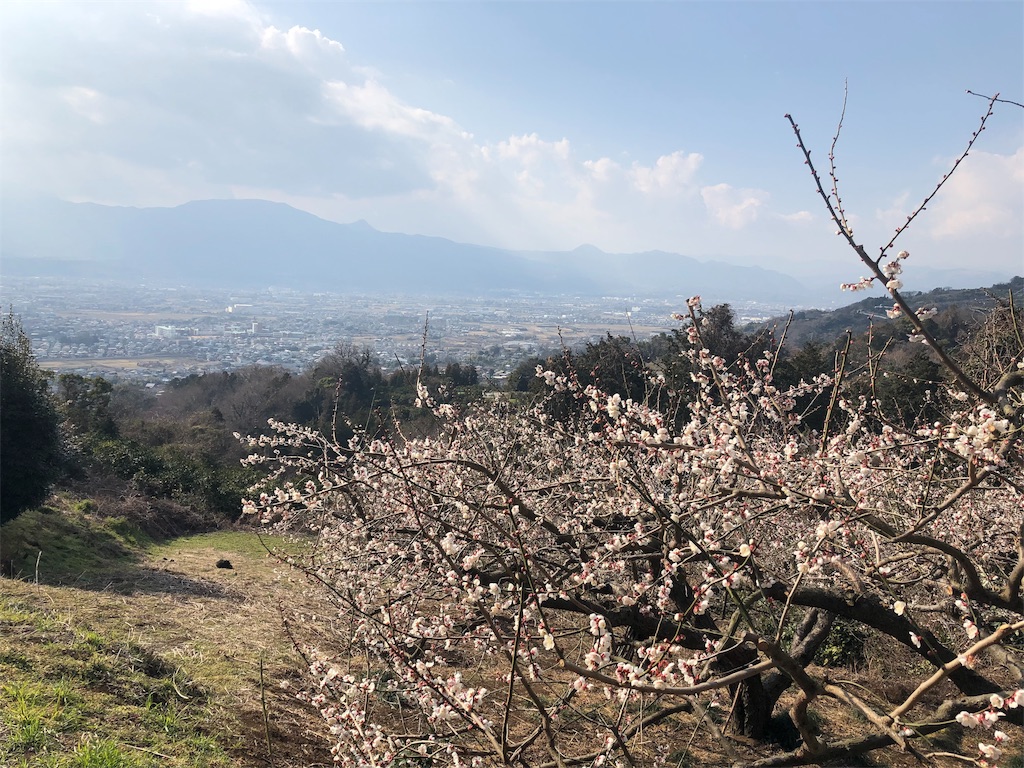 f:id:airura:20190218204117j:image f:id:airura:20190218204117j:image