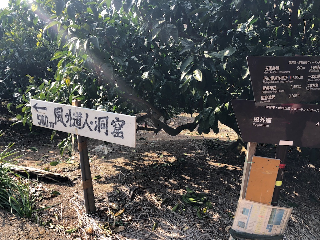 f:id:airura:20190218204147j:image f:id:airura:20190218204147j:image
