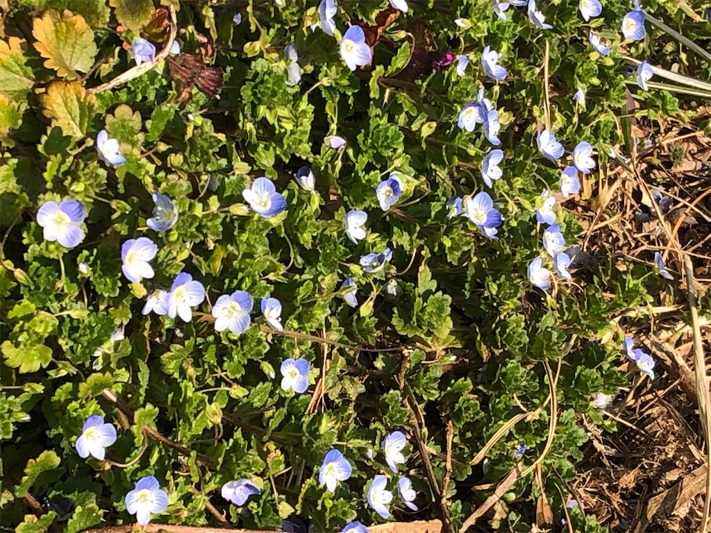 f:id:airura:20190218205605j:image f:id:airura:20190218205605j:image
