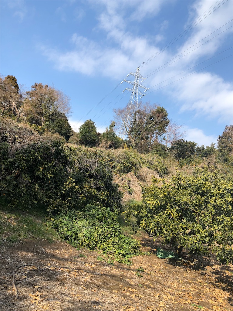 f:id:airura:20190218205836j:image f:id:airura:20190218205836j:image