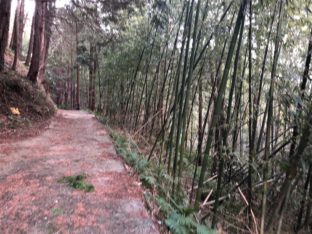 f:id:airura:20190218210859j:image f:id:airura:20190218210859j:image