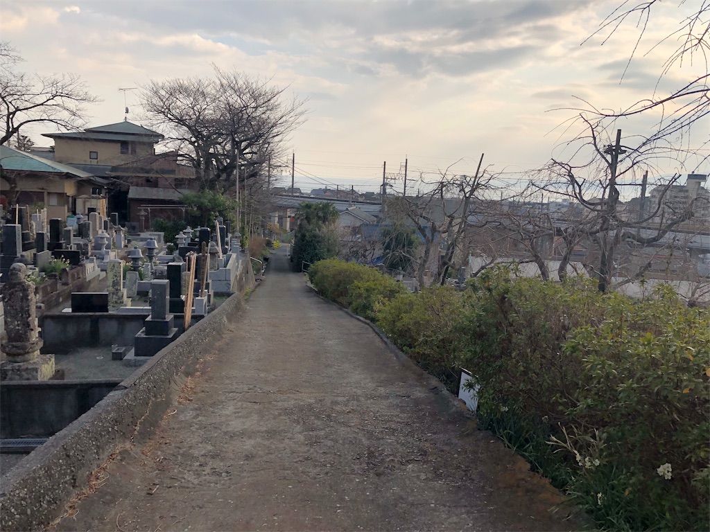 f:id:airura:20190218214044j:image f:id:airura:20190218214044j:image