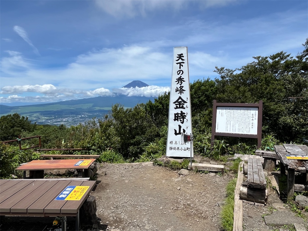 箱根 金時山の夏　シシウド咲く パステル画 箱根 金時山の夏 シシウド咲く パステル画